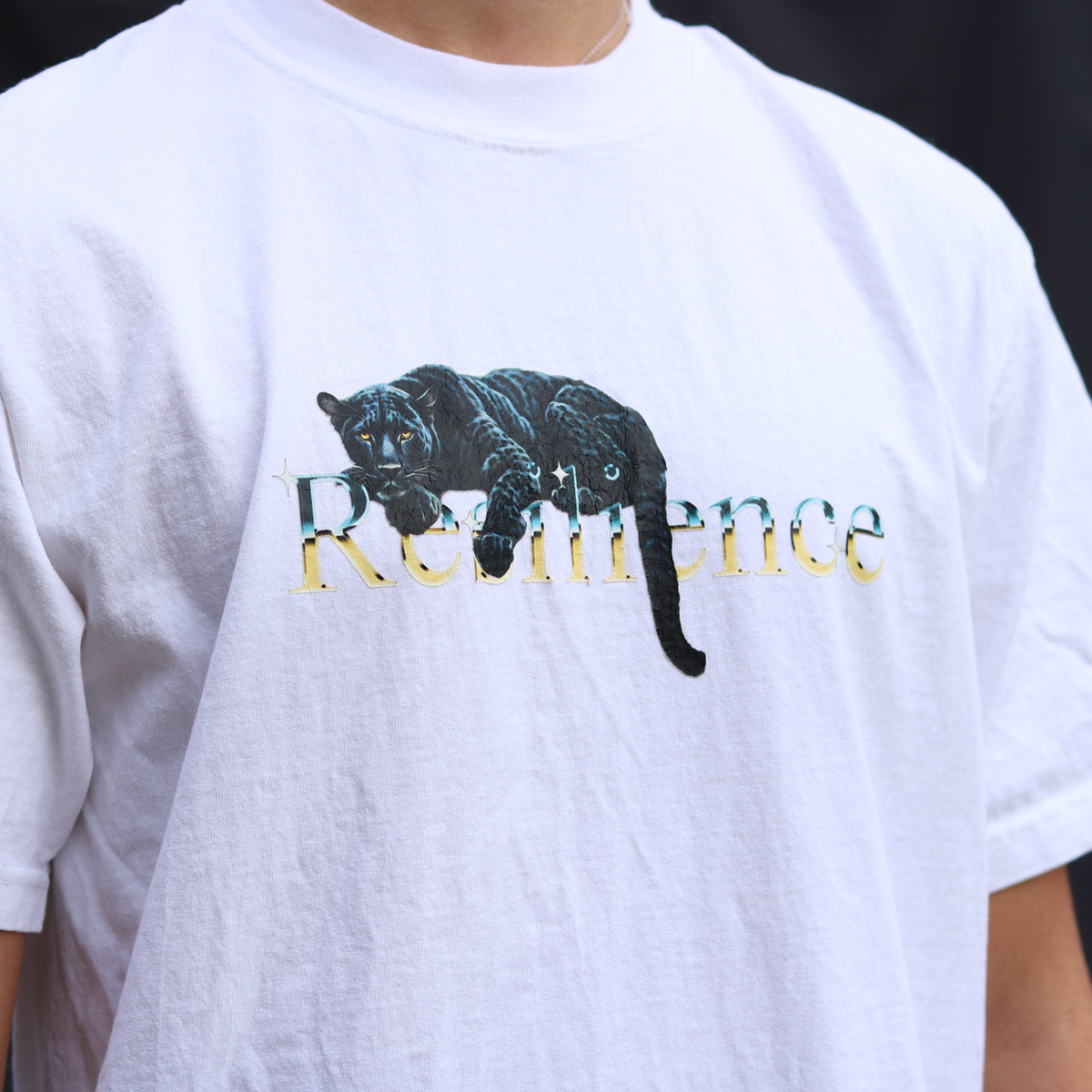 Resilience Collection