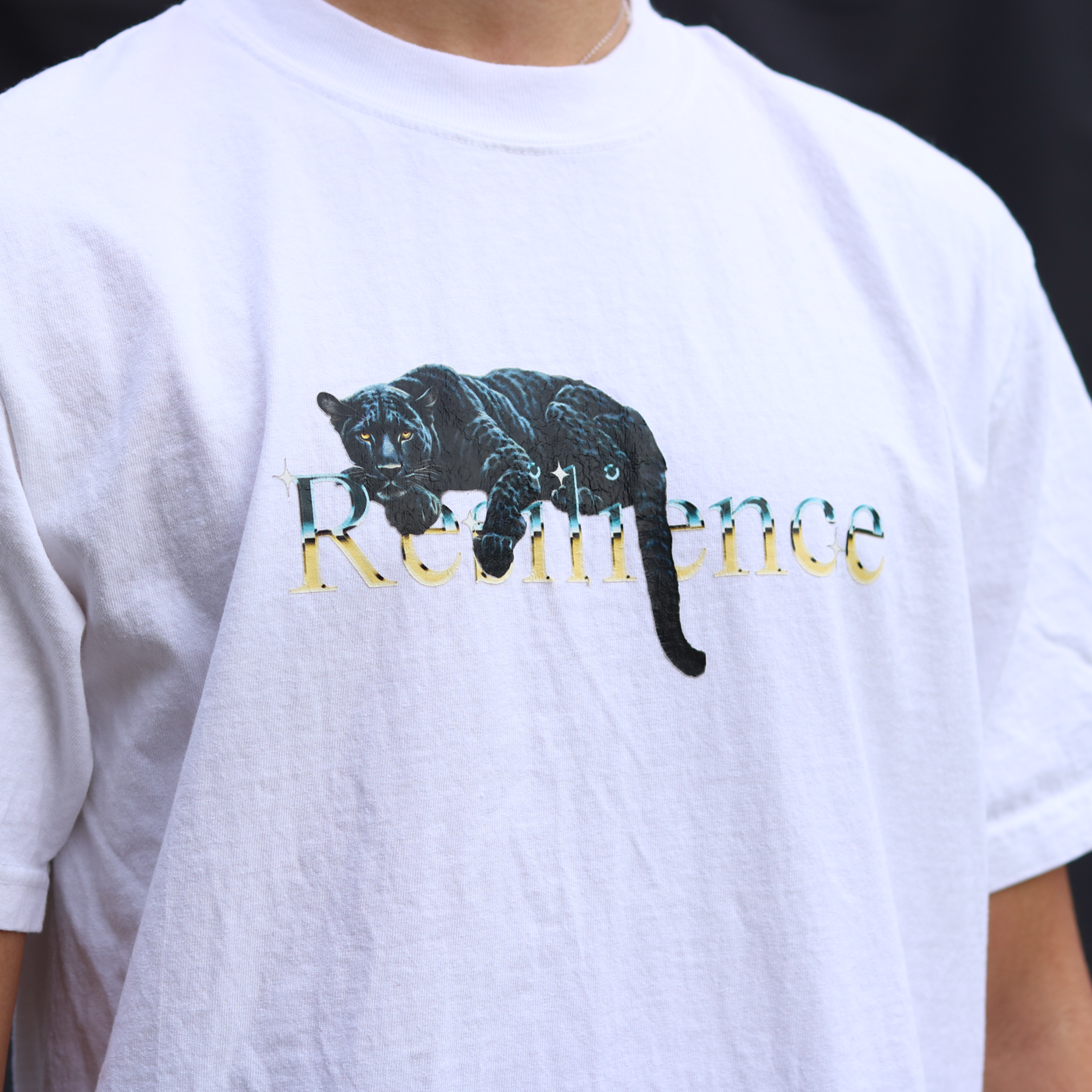 Resilience Collection